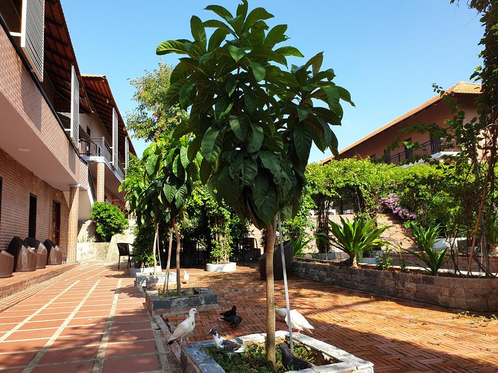 Countryside Phu Quoc Resort Eksteriør billede